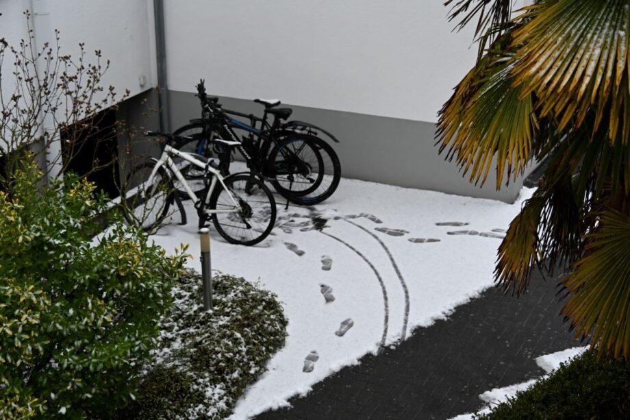 Spuren im Weißen Schnee Spuren im Weißen Schnee