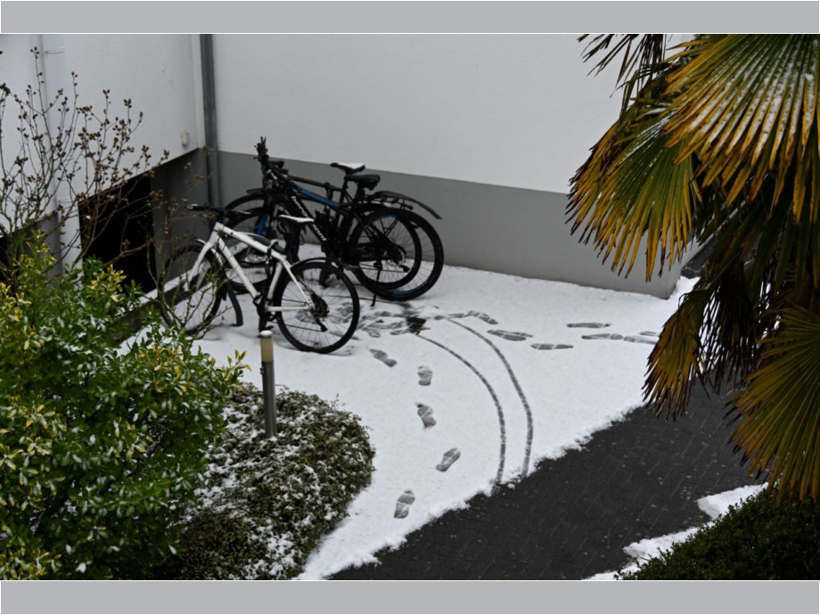 Spuren im Weißen Schnee