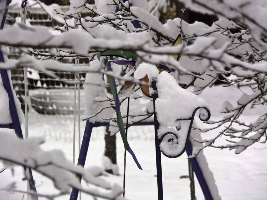 Bunt in Weiß Bunt in Weiß