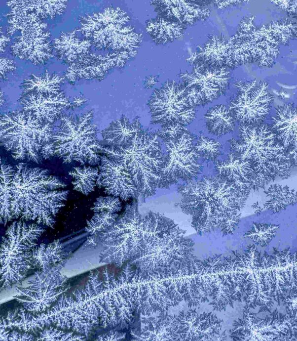 Eisige Fraktalstrukturen Eisige Fraktalstrukturen