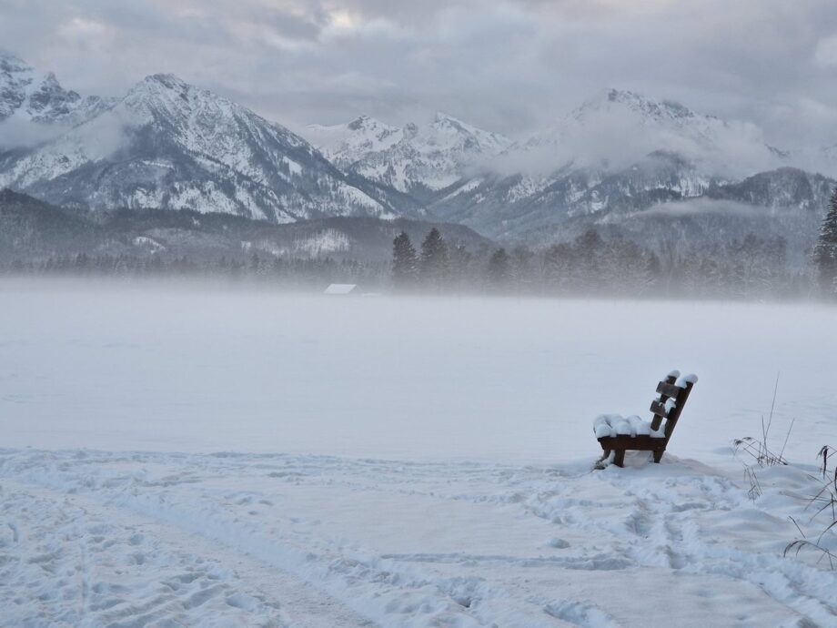Weiße Pracht Weiße Pracht