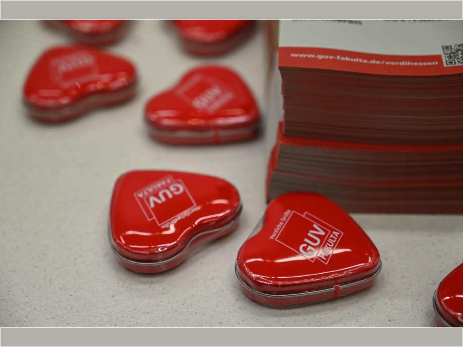 Gewerkschaftliche Unterstützungseinrichtung der DGB-Gewerkschaften Gewerkschaftliche Unterstützungseinrichtung der DGB-Gewerkschaften