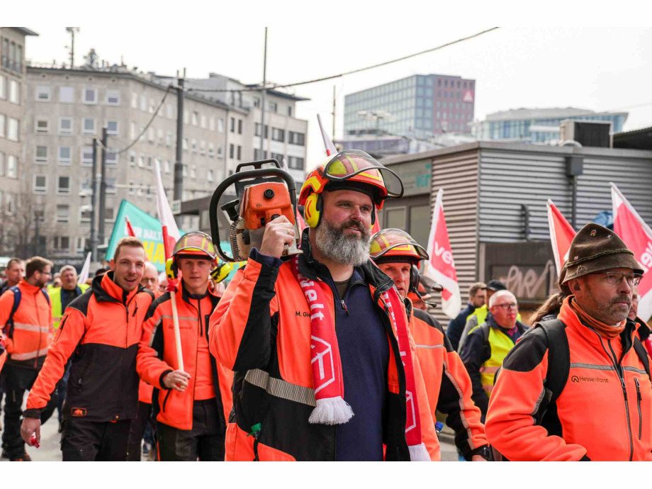 Mitarbeiter:innen von Hessen Forst sind auch dabei