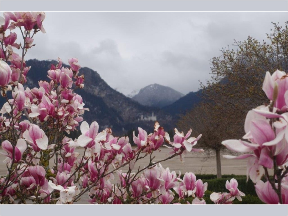 Neu-Schwanstein Neu-Schwanstein