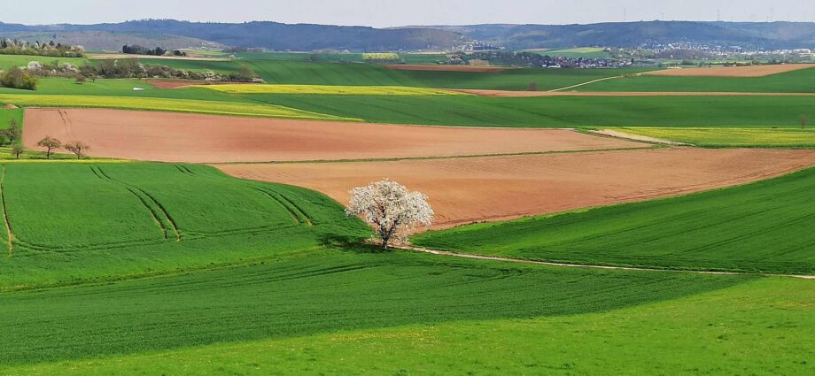 Der Frühling liegt über dem Land Der Frühling liegt über dem Land