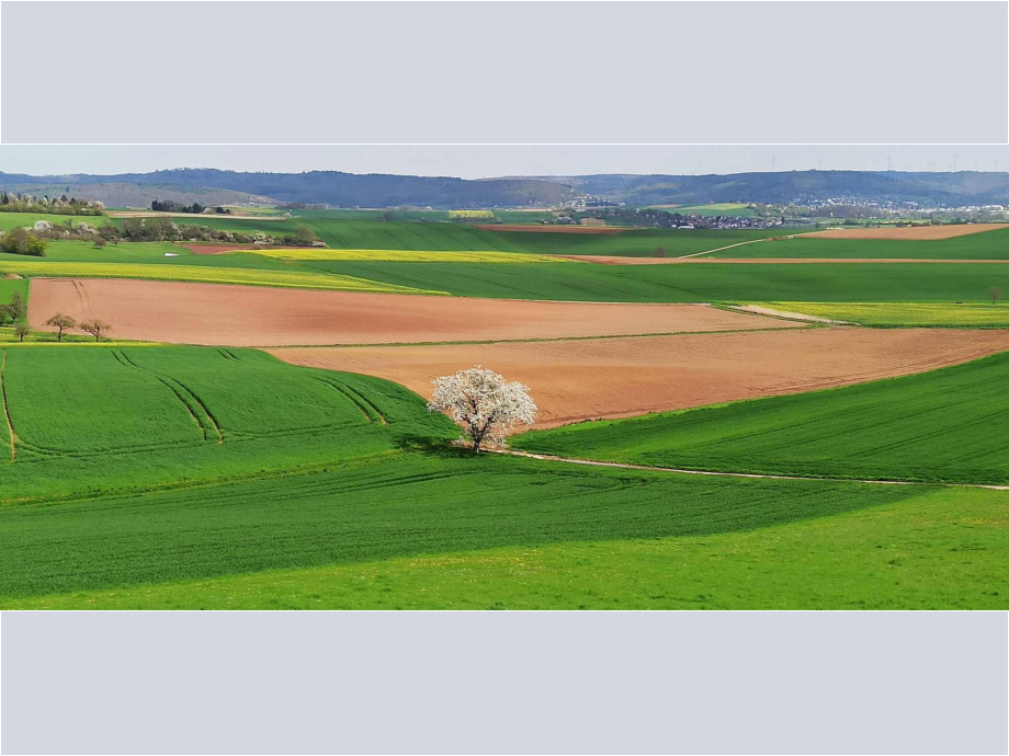 Der Frühling liegt über dem Land Der Frühling liegt über dem Land