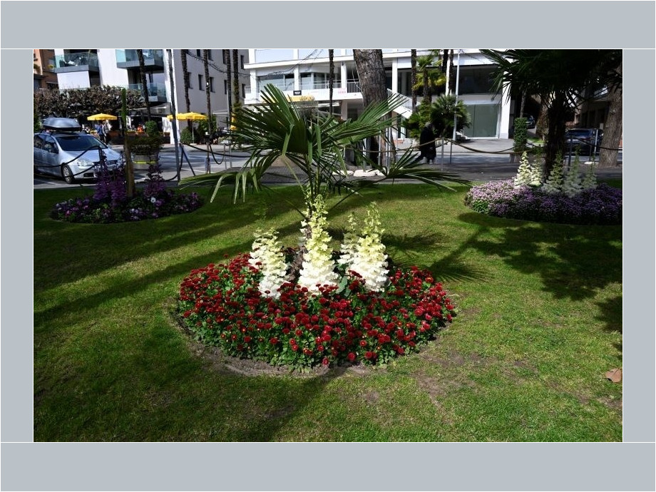 Frühling in Locarno Frühling in Locarno