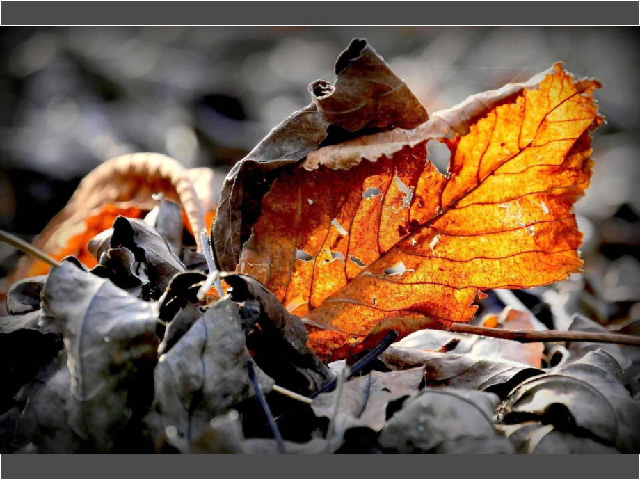 Alt im Herbst