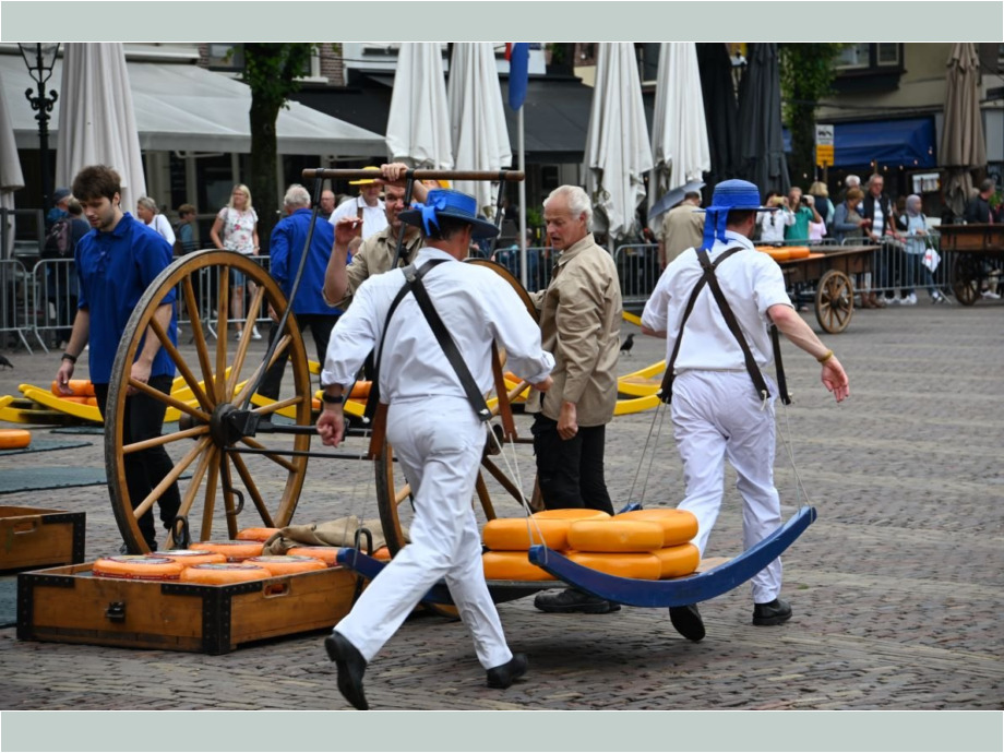 Käse in Bewegung