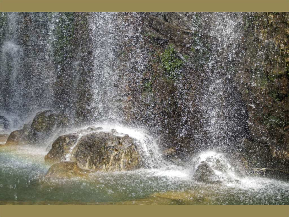 Bewegung der Natur