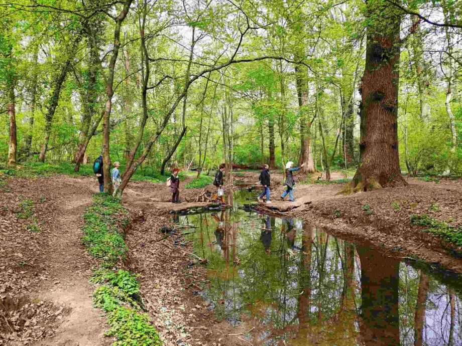 Im Niedwald, 2022 Im Niedwald, 2022