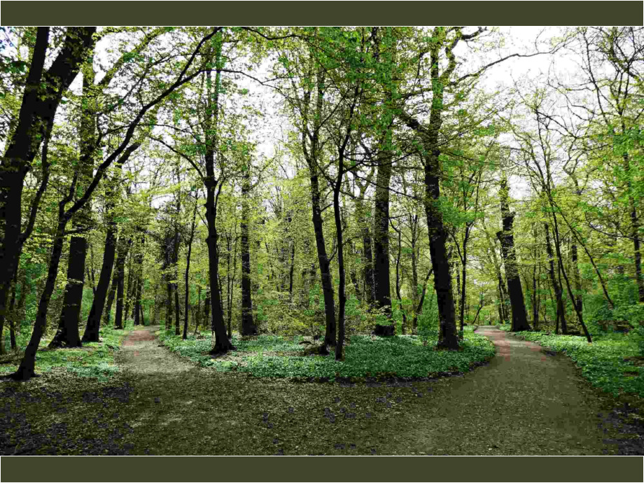 Im Niedwald, 2022 Im Niedwald, 2022