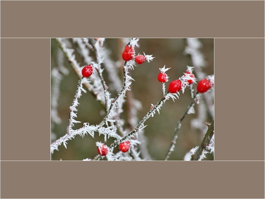 Winterzauber