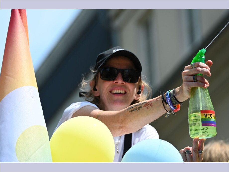 Demoerfrischung (CSD)