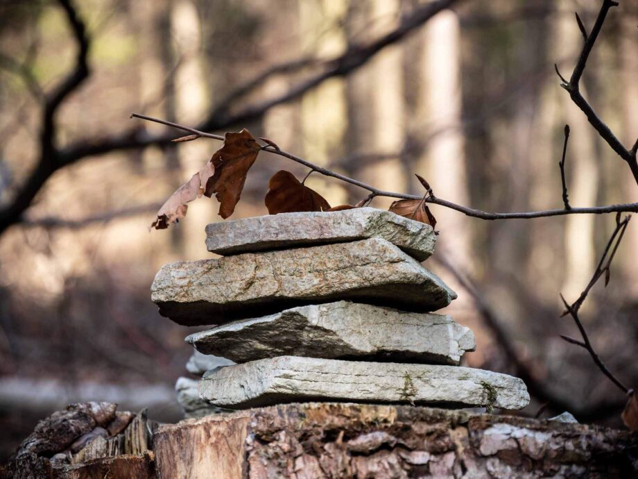 Taunus Zen