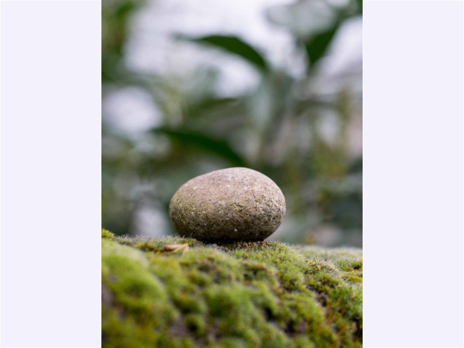 Taunus Zen