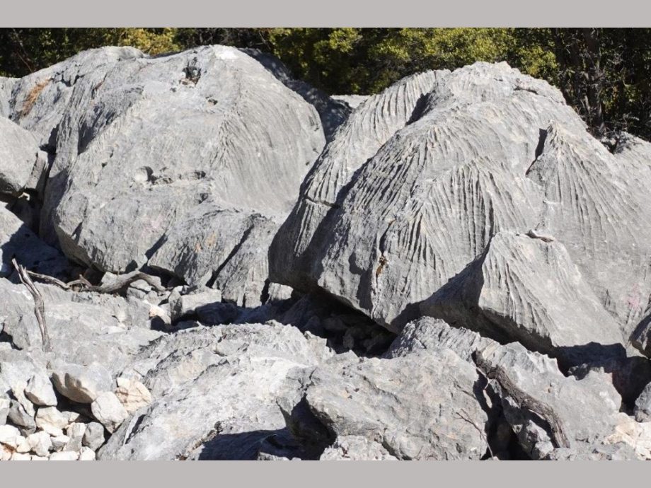 Rillensteine Sardinien