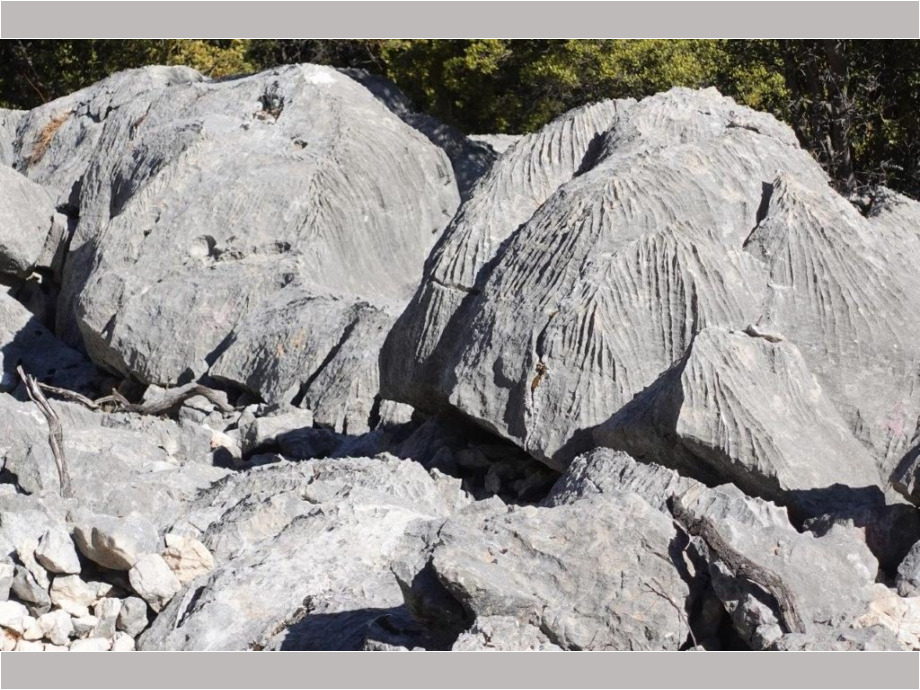 Rillensteine Sardinien
