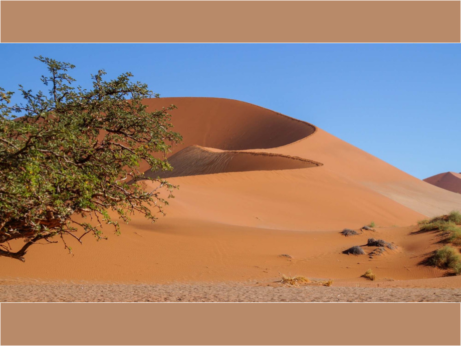 Namib Sand Sea, Namibia