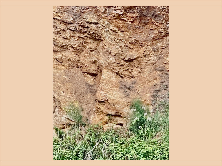 Am Berg